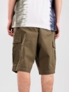 DC Warehouse Cargo 2 Shorts