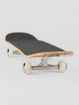 Monstera 8.0&amp;#034; Skate komplet