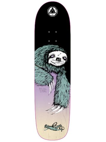 Welcome Sloth On Son Of Planchette 8.38&quot; Skateboard Deck