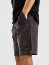 Billabong Bad Dog Shorts
