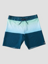 Billabong Fifty50 Panel Pro Boardshorts