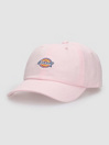 Dickies Hardwick Boné
