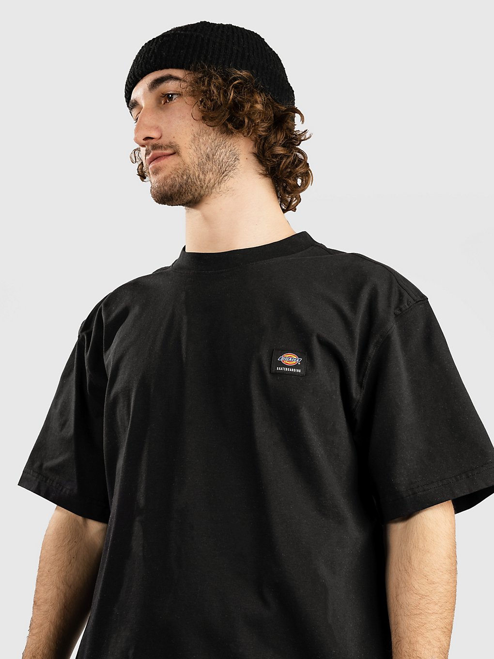 Dickies Mount Vista T-Shirt black kaufen