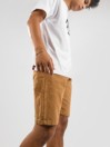 Dickies Duck Canvas Shorts