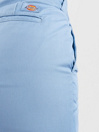 Dickies Elizaville Rec Pantalon
