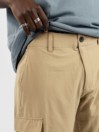 Oakley B1B Cargo Hybrid Shorts