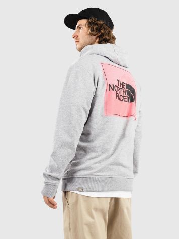 THE NORTH FACE Graphic Light Hoodie