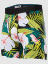 Stance Alonzo Boxer