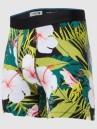 Stance Alonzo Boxershorts