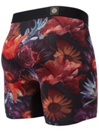 Stance Franklyn Calzoncillos