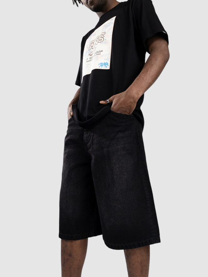 REELL Belmont Shorts