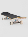 Tricks Mexican 7.75″ Skateboard Completo
