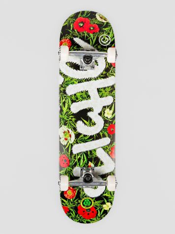 Clich&eacute; Botanical 8.125&quot; Skateboard Completo