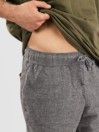 Tentree Hemp Joshua Shorts