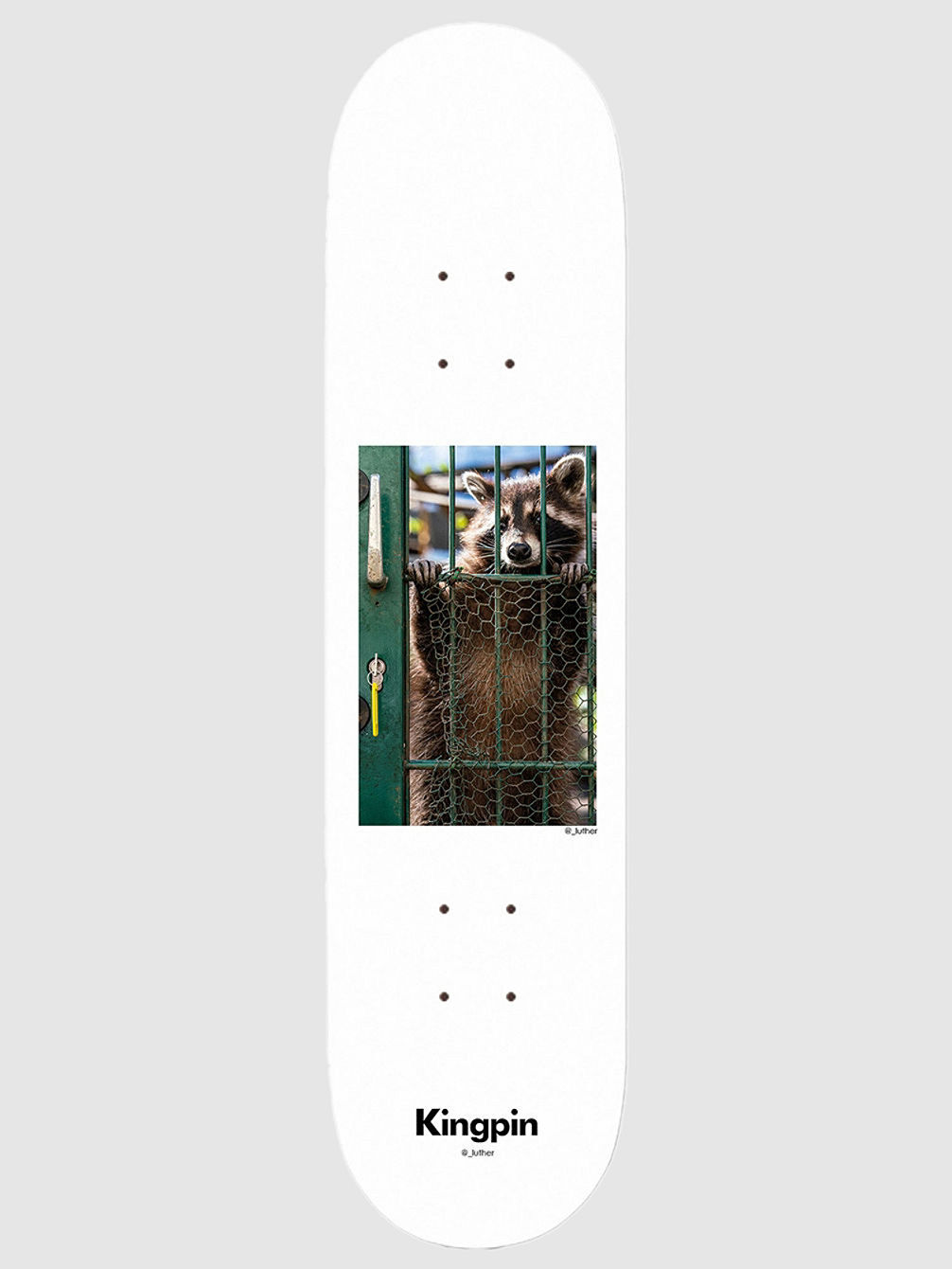 X David Luther Racoon 8.125&amp;#034; Planche de skate