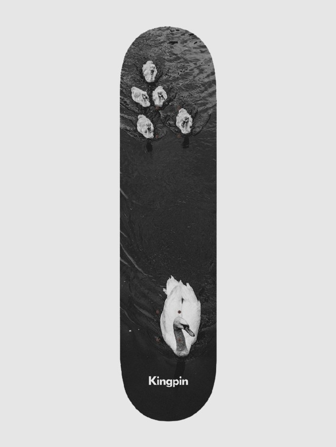 Kingpin X David Luther Swans 8.25" Skateboard Deck