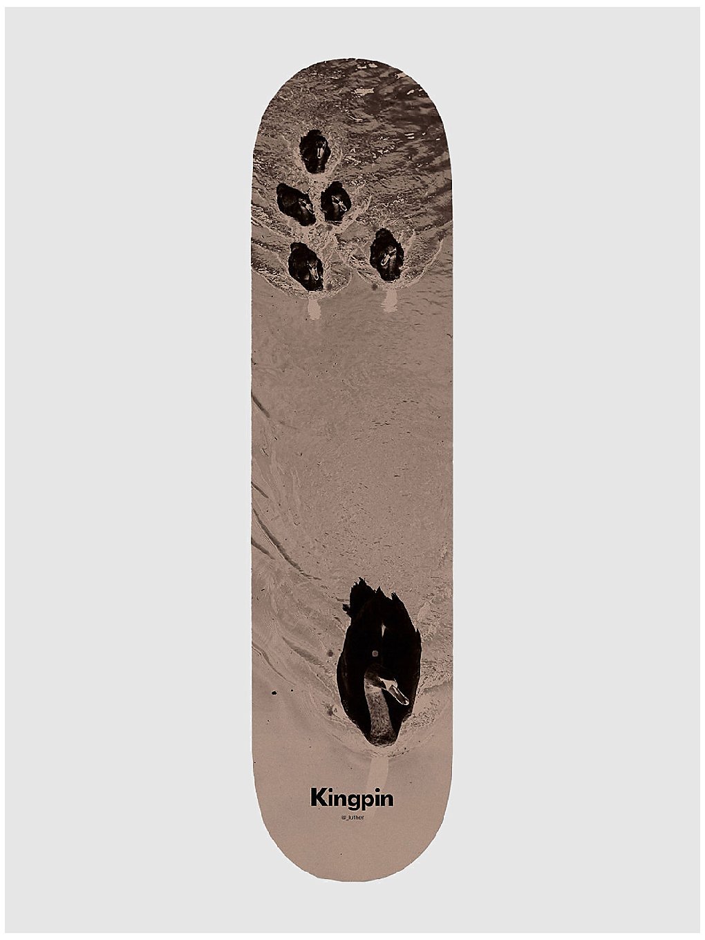 Kingpin X David Luther Swans 8.5" Skateboard Deck black kaufen