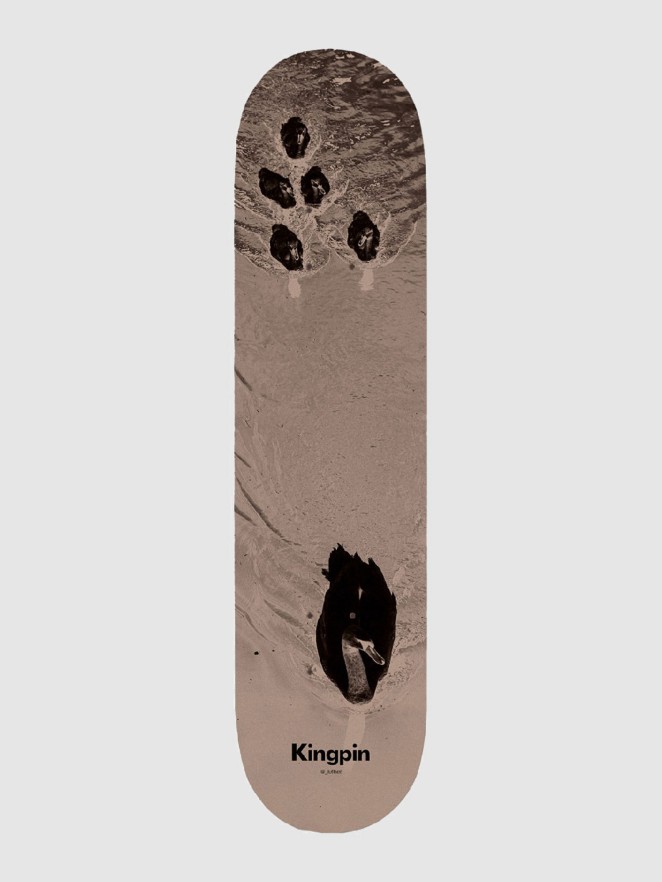 Kingpin X David Luther Swans 8.5″ Skateboardová deska