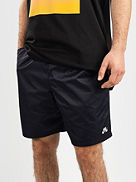 SB Novelty Chino Shorts
