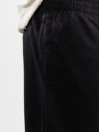 Nike SB Sunday Seasonal Sunday Shortsit