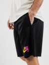 Nike SB Sunday Seasonal Sunday Shortsit