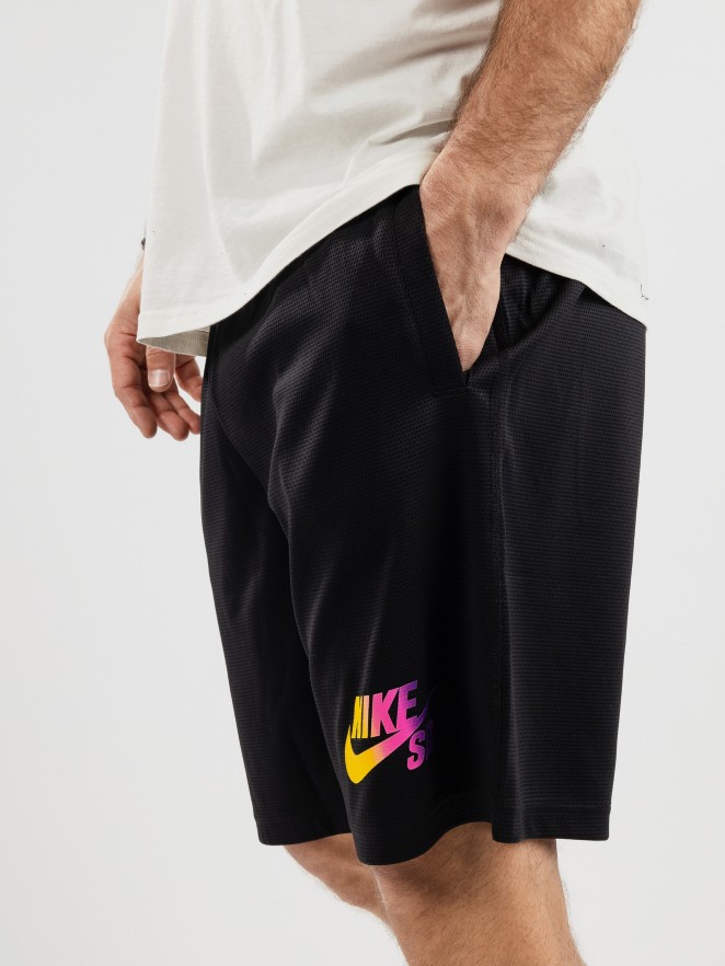 Nike SB Sunday Seasonal Sunday Shortsit