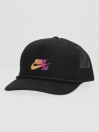 Nike SB Classic99 Graphic Skate Trucker Cap