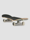 DGK Slap Up 8.0″ Skateboard Completo