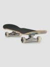 DGK Slap Up 8.0" Skateboard complet