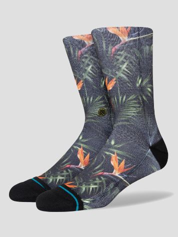 Stance Paradis Calcetines