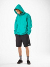 FW Source 4 Seasons