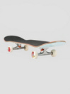 Toy Machine Sect Binary 8.0″ Complete