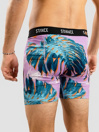 Stance Monstera Boxer