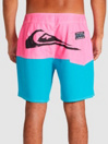 Quiksilver X Stranger Things Butt Logo 1986 17 Boardshorts