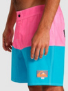 Quiksilver X Stranger Things Butt Logo 1986 17 Boardshorts
