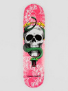 Powell Peralta Skull & Snake Birch 7.75″ Skateboard Deck