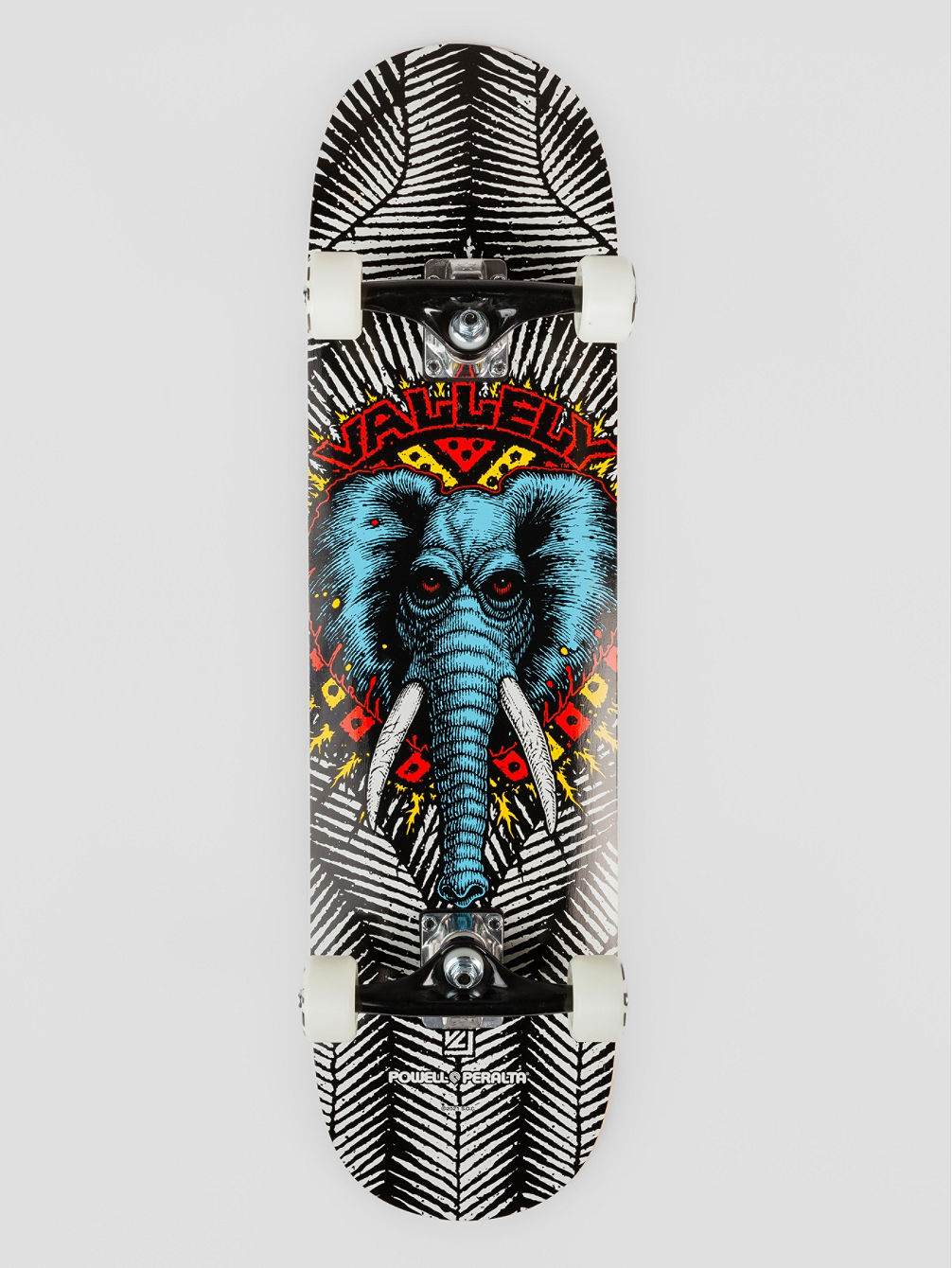 Vallely Elephant Birch 8.0&amp;#034; Skate Completo