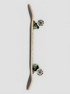 Powell Peralta Vato Rats Trees 7.5″ Skateboard Completo