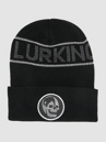 Lurking Class 3M Skull Beanie