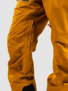 Quiksilver Forever Stretch Pants