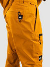Quiksilver Forever Stretch Pants
