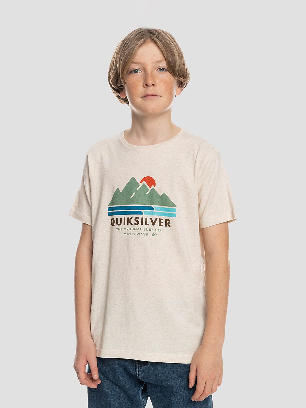Quiksilver Scenic Recovery T-Shirt birch heather kaufen