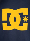 DC Dryden Shred Hoodie