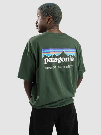 Patagonia P-6 Mission Organic Camiseta