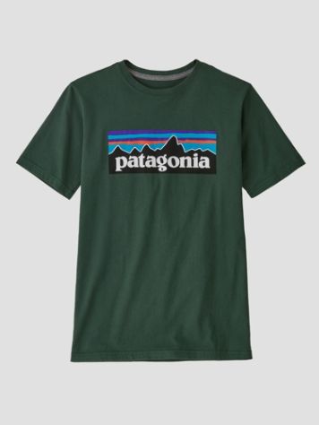 Patagonia Regenerative Organic Certified Cotton P- T-shirt