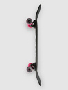 Globe Shooter 8.625″ Skate Completo