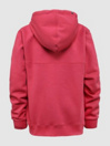 Horsefeathers Olive Kids Zip Hoodie