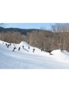 Rome Party Mod 159 2023 Snowboard