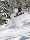 Lib Tech T.Rice Golden Orca 161 2023 Snowboard