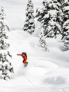 Lib Tech Orca 153 2023 Snowboard